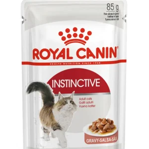 RC INSTINCTIVE GRAVY SALSA 85GM X 12