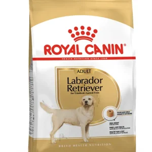RC LABRADOR ADULT 12KG