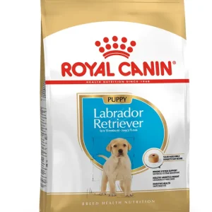 RC LABRADOR PUPPY 3KG