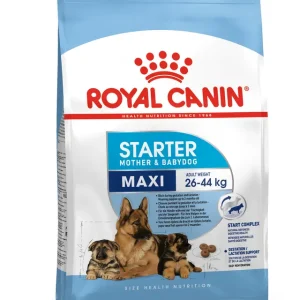 RC MAXI STARTER 1KG