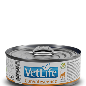 VET LIFE CAT CONVALESENCE WET FOOD 85GMSX12PCS