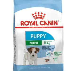 RC MINI PUPPY 800GM