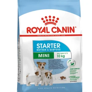 RC MINI STARTER 1KG