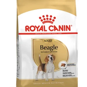 RC BEAGLE ADULT 3KG