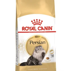 RC PERSIAN ADULT 4KG