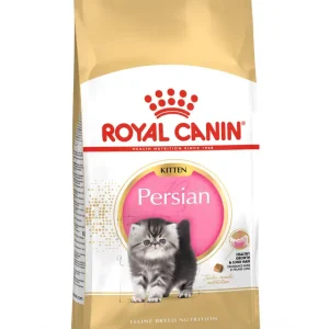 RC PERSIAN KITTEN 4KG