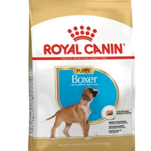 RC BOXER PUPPY 3KG